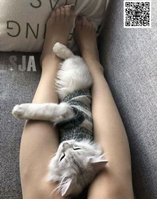 国产培养箱_超清高清电影在线